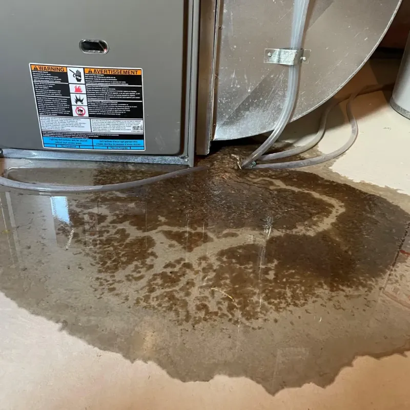 Appliance Leak Cleanup in Johnson, VT